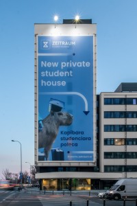 zdjęcie Akademik na Solcu