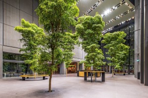 zdjęcie Varso Tower