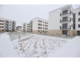 II etap