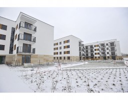 II etap