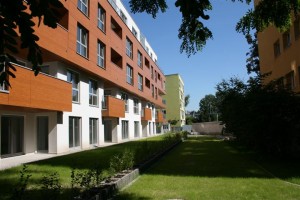 zdjęcie Sapir Saska Kępa