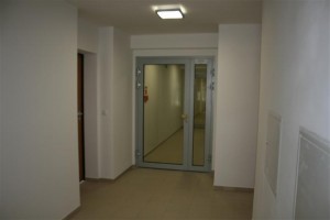 zdjęcie Sapir Saska Kępa