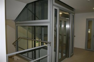 zdjęcie Sapir Saska Kępa