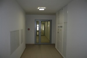 zdjęcie Sapir Saska Kępa