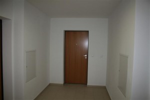 zdjęcie Sapir Saska Kępa