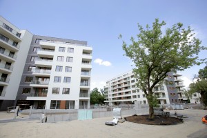 prace wykończeniowe