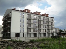 zdjęcie Marysin Las