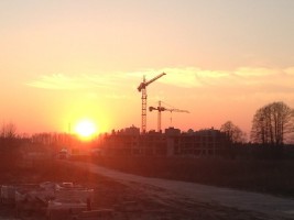 zdjęcie Aura Garden