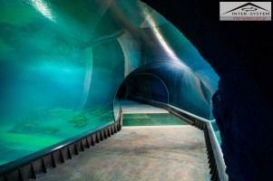 zdjęcie Oceanarium - Afrykarium
