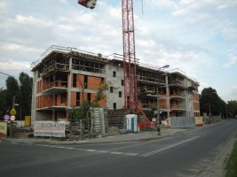 zdjęcie Braci Załuskich