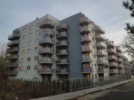 zdjęcie Żółwia 14,18