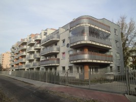 zdjęcie Żółwia 14,18