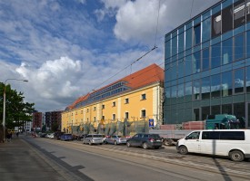 zdjęcie Księcia Witolda 46