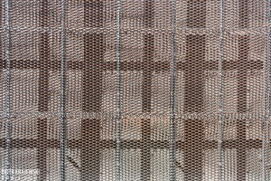 zdjęcie Collegium Iuridicum Novum