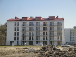 zdjęcie Marysin Las