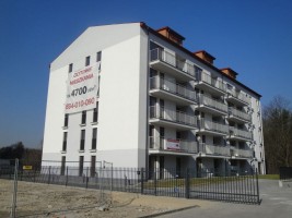 zdjęcie Marysin Las