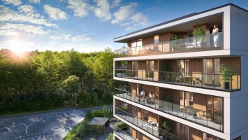 zdjęcie z budowy Ptasia Vita