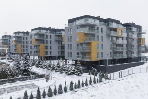 zdjęcie Chojny Park