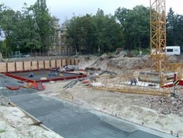 zdjęcie Przy Pałacu