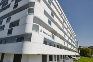 zdjęcie Bajeczne Dąbie II