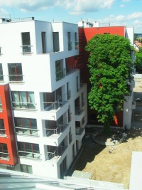 zdjęcie Avangard Apartamenty