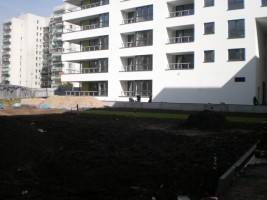 zdjęcie Grenadierów BIS - Pod Kasztanami