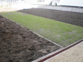 zdjęcie Grenadierów/Ostrobramska