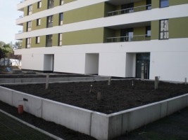 zdjęcie Grenadierów BIS - Pod Kasztanami