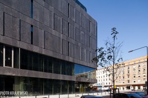 zdjęcie Wolf Bracka