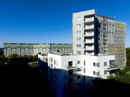 zdjęcie Apartamenty na Wspólnej