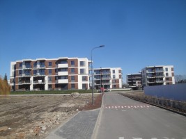 zdjęcie Ryżowa Park