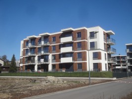 zdjęcie Ryżowa Park