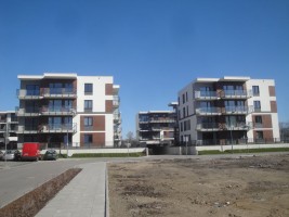 zdjęcie Ryżowa Park