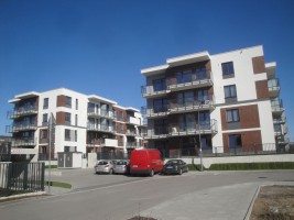 zdjęcie Ryżowa Park