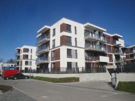 zdjęcie Ryżowa Park