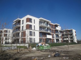 zdjęcie Ryżowa Park