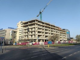 zdjęcie Sadyba Spot