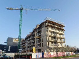 zdjęcie Sadyba Spot