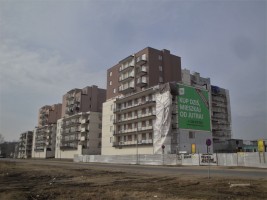 zdjęcie Tarasy Dionizosa