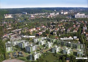 zdjęcie Nova Oliva