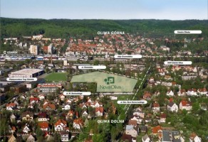 zdjęcie Nova Oliva