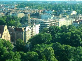 zdjęcie Niedziałkowskiego 24/25