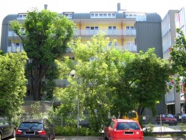 zdjęcie Apartamenty Czysta