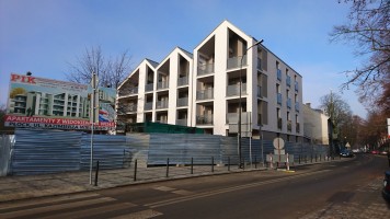 zdjęcie Kazimierza Wielkiego 23