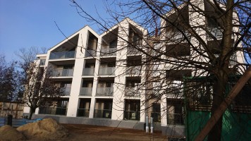 zdjęcie Kazimierza Wielkiego 23