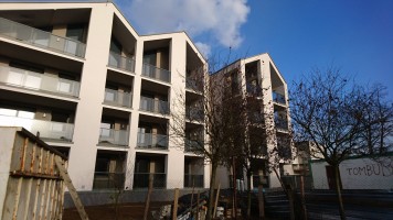 zdjęcie Kazimierza Wielkiego 23