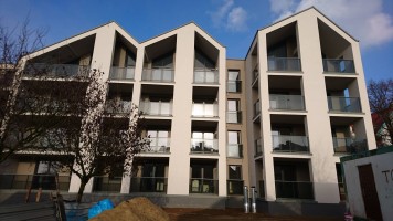 zdjęcie Kazimierza Wielkiego 23