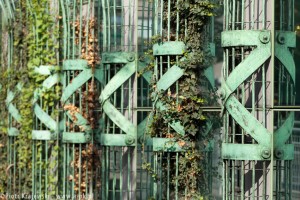 zdjęcie Biblioteka Uniwersytetu Warszawskiego BUW