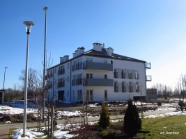 zdjęcie Limby 32