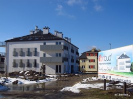 zdjęcie Limby 32